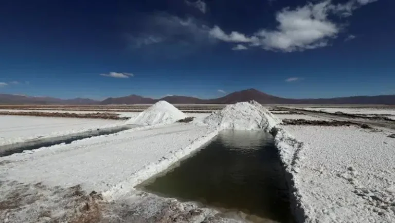 Central Puerto entra al negocio del litio con una inversión estratégica en Catamarca